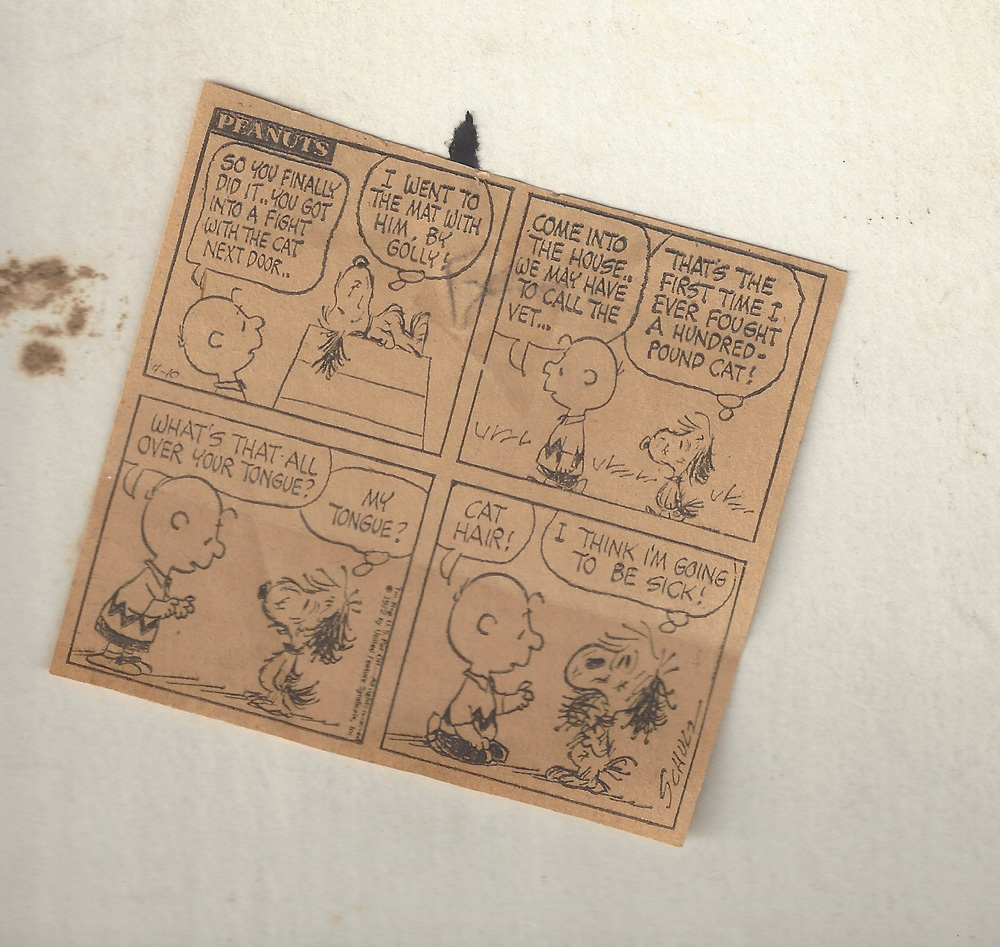 1969s-Peanuts