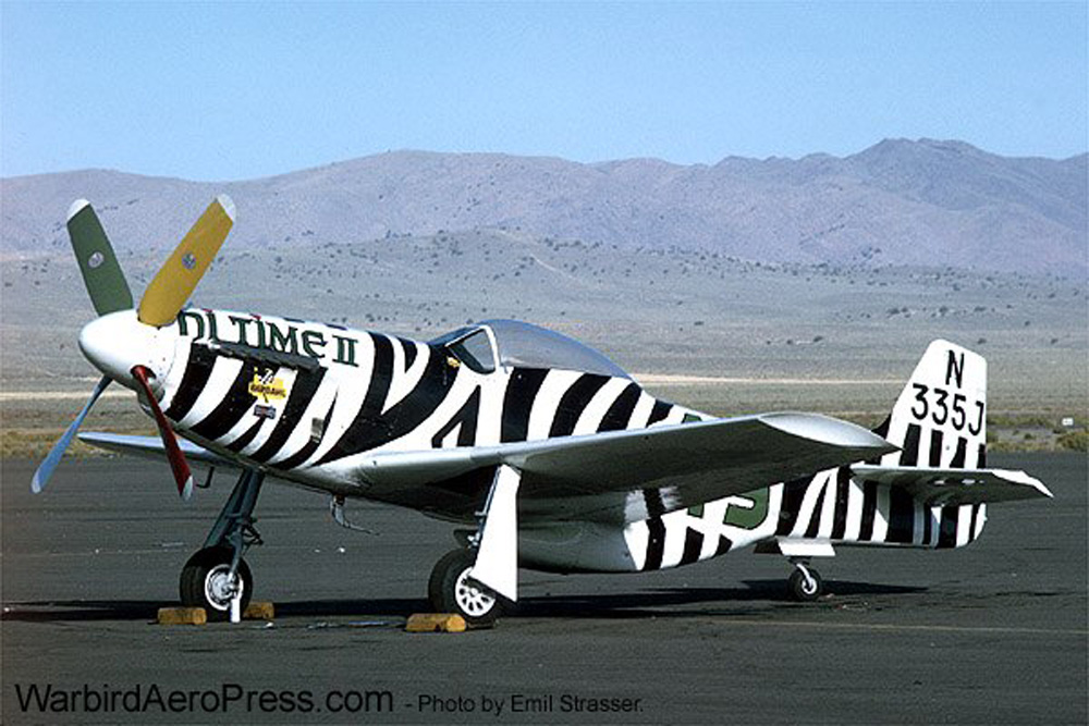 Race49 Zebra-1