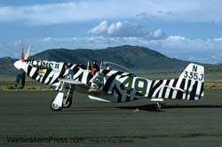 49.1-44-74506_335J Zebra