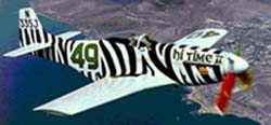 49.7-66-_Zebra crop200