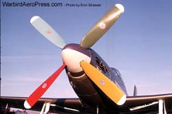 Race49-color Prop